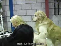 Две русские куколки снимают зоопорно с собаками
