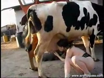 Порно зоофилки с коровой