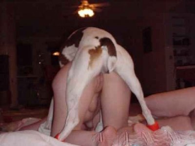 Секс втроём с собакой