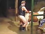 Зоофил порвал корове целку смотреть gay zoo porn