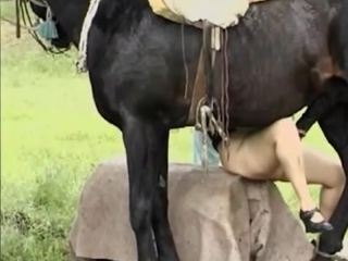 Гребаная лошадь на свежем воздухе вдула член похотливой бабе